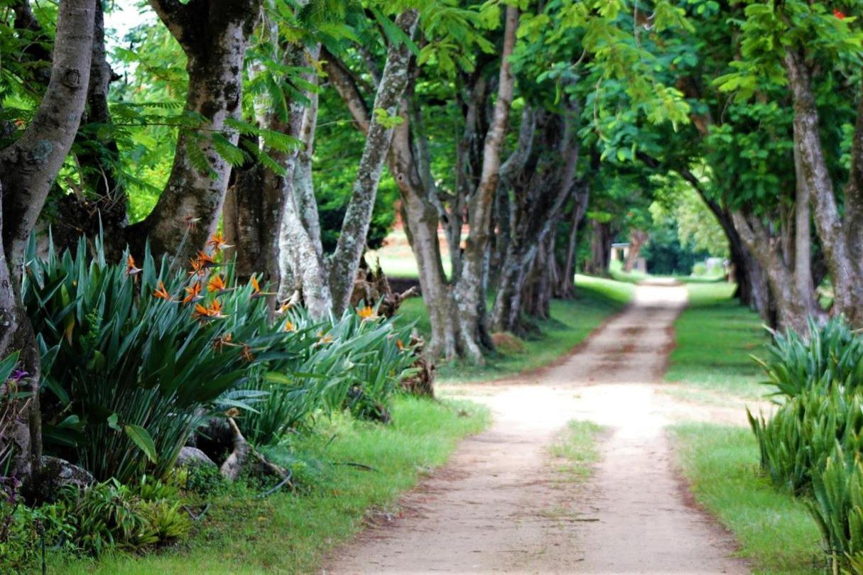 Idle & Wild Chalet Hazyview Εξωτερικό φωτογραφία